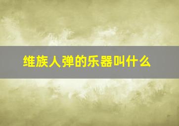 维族人弹的乐器叫什么