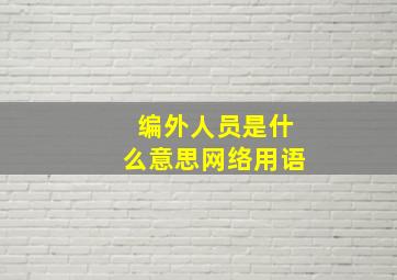 编外人员是什么意思网络用语