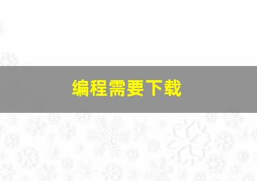 编程需要下载