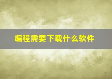 编程需要下载什么软件