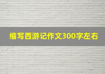 缩写西游记作文300字左右