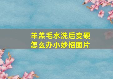 羊羔毛水洗后变硬怎么办小妙招图片