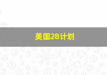 美国28计划