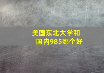 美国东北大学和国内985哪个好