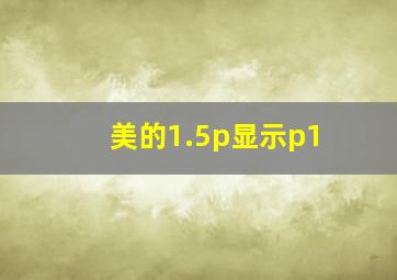 美的1.5p显示p1