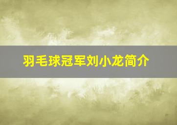 羽毛球冠军刘小龙简介