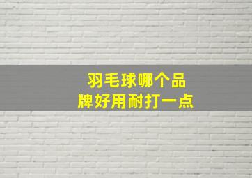 羽毛球哪个品牌好用耐打一点