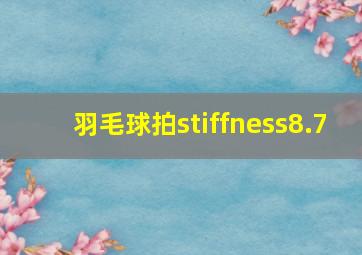 羽毛球拍stiffness8.7