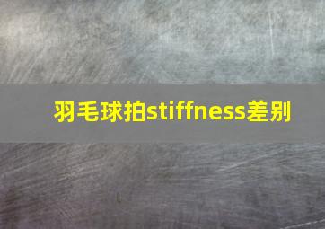 羽毛球拍stiffness差别