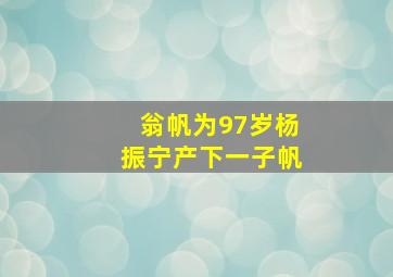 翁帆为97岁杨振宁产下一子帆