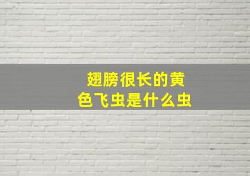 翅膀很长的黄色飞虫是什么虫