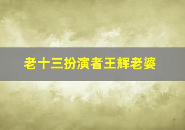 老十三扮演者王辉老婆