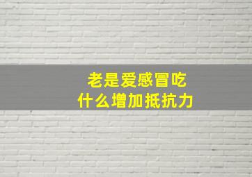 老是爱感冒吃什么增加抵抗力