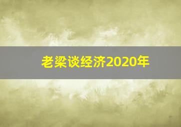 老梁谈经济2020年