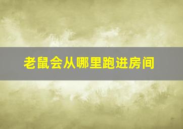 老鼠会从哪里跑进房间