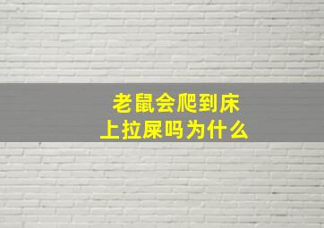 老鼠会爬到床上拉屎吗为什么