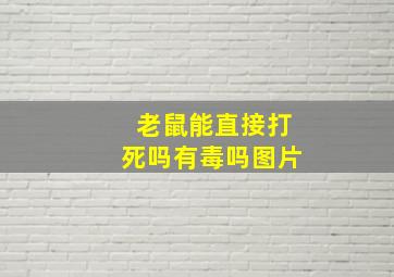 老鼠能直接打死吗有毒吗图片