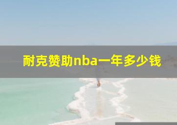 耐克赞助nba一年多少钱