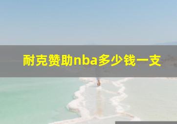 耐克赞助nba多少钱一支