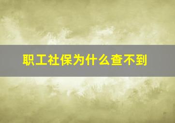 职工社保为什么查不到