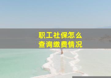 职工社保怎么查询缴费情况