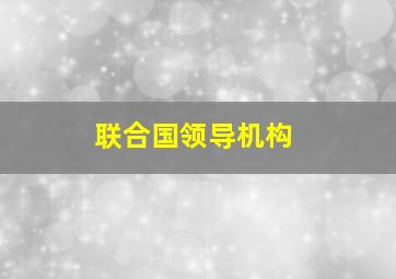 联合国领导机构