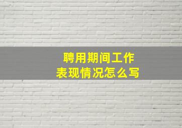 聘用期间工作表现情况怎么写