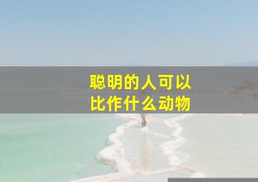 聪明的人可以比作什么动物