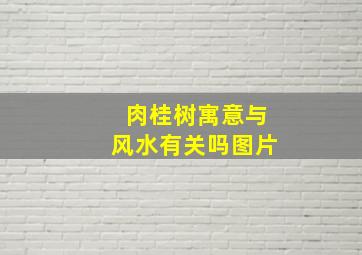 肉桂树寓意与风水有关吗图片