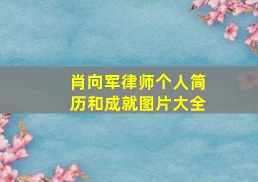 肖向军律师个人简历和成就图片大全