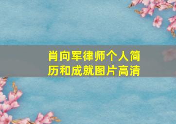 肖向军律师个人简历和成就图片高清