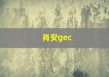 肖安gec