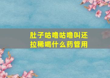 肚子咕噜咕噜叫还拉稀喝什么药管用