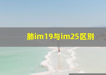 肺im19与im25区别