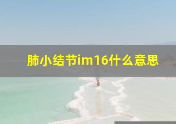 肺小结节im16什么意思