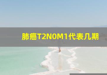 肺癌T2N0M1代表几期