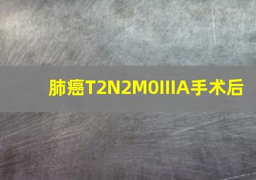 肺癌T2N2M0IIIA手术后