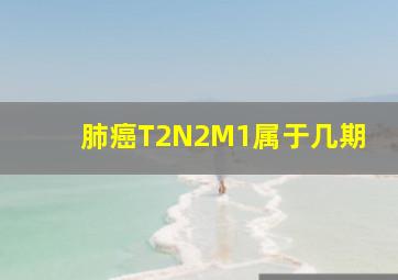 肺癌T2N2M1属于几期