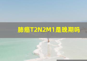 肺癌T2N2M1是晚期吗