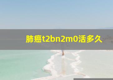 肺癌t2bn2m0活多久