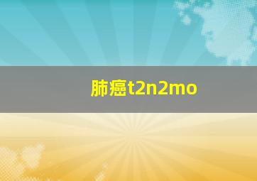 肺癌t2n2mo