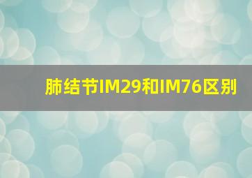 肺结节IM29和IM76区别