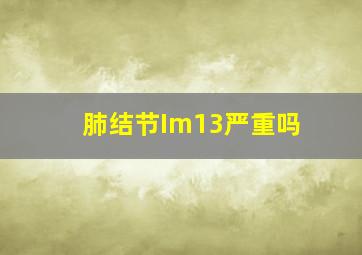 肺结节Im13严重吗