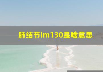 肺结节im130是啥意思