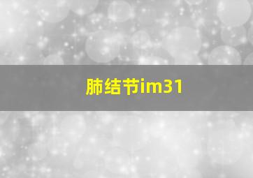 肺结节im31