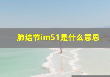 肺结节im51是什么意思