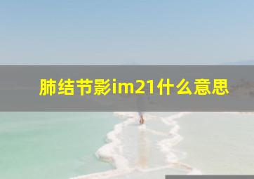 肺结节影im21什么意思