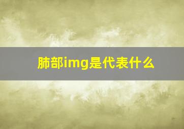 肺部img是代表什么