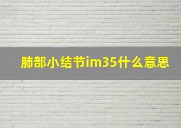 肺部小结节im35什么意思