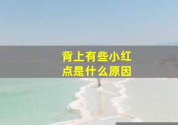 背上有些小红点是什么原因